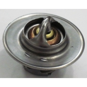 Kühlwasserthermostat von MOTORAD
