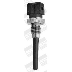 Compre Sensor, temperatura do ar de admissão da BERU ST010 a um preço baixo por 15,27 €