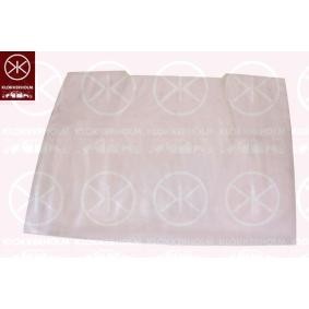 Motorhaube 5700280