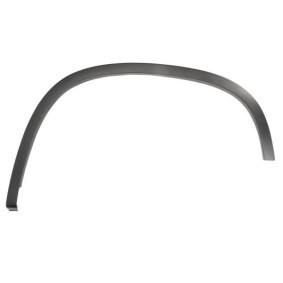 Osta Suoja- / koristelista, lokasuoja BLIC:llä 5703-08-9548591P edullisesti hintaan 31,60 €