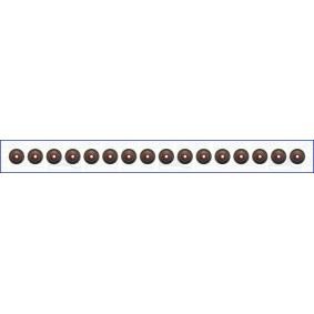 Dichtungssatz, Ventilschaft 57072400
