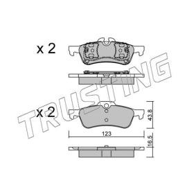 Achetez des Plaquettes de frein TRUSTING 572.0 à prix pour 78,53 €