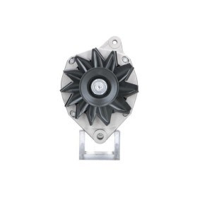 Lichtmaschine von BV PSH
