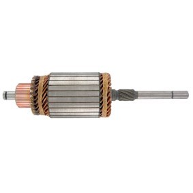 Lichtmaschine von BV PSH