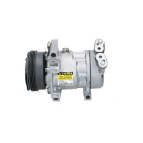 Lichtmaschine von BV PSH
