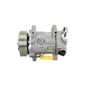 RENAULT Lichtmaschine von BV PSH
