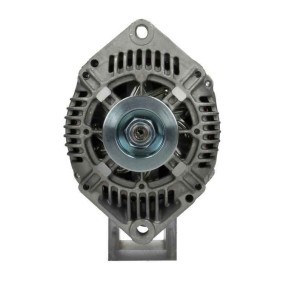 Lichtmaschine von BV PSH