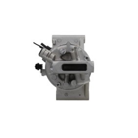 Lichtmaschine von BV PSH