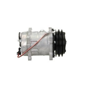 Lichtmaschine von BV PSH