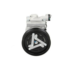 Lichtmaschine von BV PSH