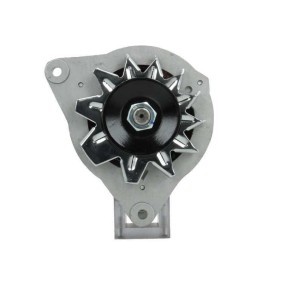 Lichtmaschine 595.013.034.100