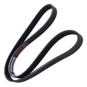 Keilrippenriemen 5PK1025-PCS-MS