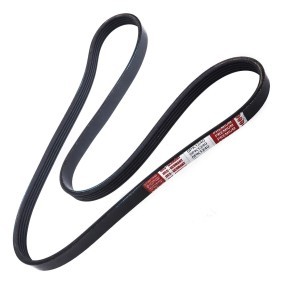 Achetez des Courroie Poly-V MASTER-SPORT 5PK1240-PCS-MS à prix pour 11,72 €