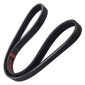 Köp Multirem av MASTER-SPORT 5PK768-PCS-MS till det låga priset 93,21 kr