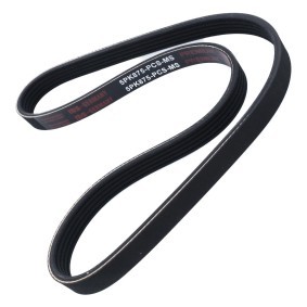 Osta Moniurahihna MASTER-SPORT:llä 5PK875-PCS-MS edullisesti hintaan 9,09 €