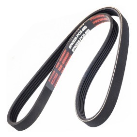 Achetez des Courroie Poly-V MASTER-SPORT 5PK925-PCS-MS à prix pour 8,02 €