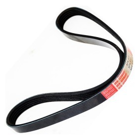 Achetez des Courroie Poly-V MASTER-SPORT 5PK930-PCS-MS à prix pour 8,47 €