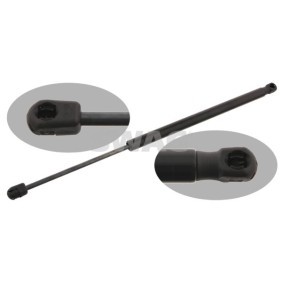 Comprar Amortiguador de maletero de SWAG 60 92 7920 a bajo precio de 25,86 €