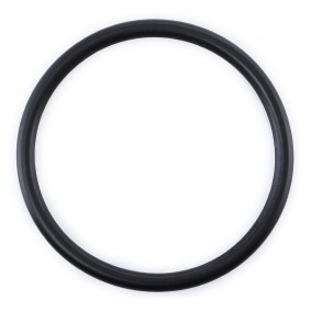 Dichtung, Thermostat 761.109