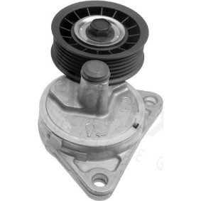 Comprar Tensor de correa poli V de AUTEX 601741 a bajo precio de 95,62 €