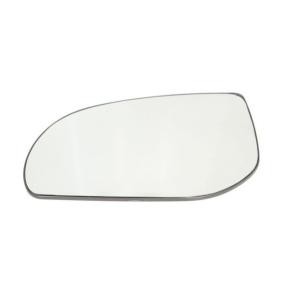 Spiegelglas, Außenspiegel 6102-02-3128121P