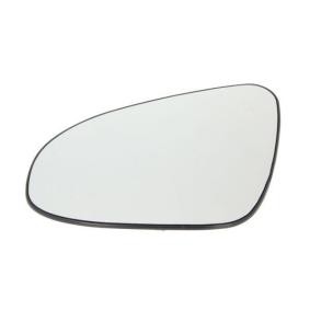 Spiegelglas, Außenspiegel 6102-19-2002445P