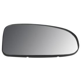 Spiegelglas, Außenspiegel 6102-19-2002498P