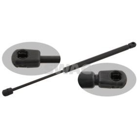 Motorhaubendämpfer für CITROËN von SWAG