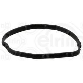 Dichtung, Thermostat 648.240