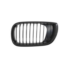 Kühlergrill 6502-07-0061993BP