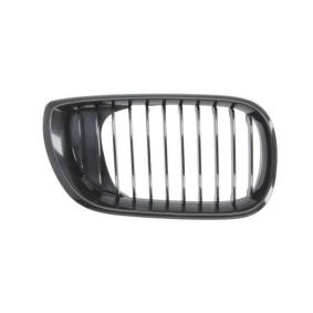 Kühlergrill 6502-07-0061994BP