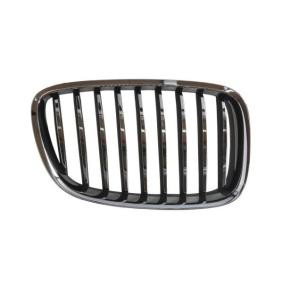 Kühlergrill 6502-07-00679922P