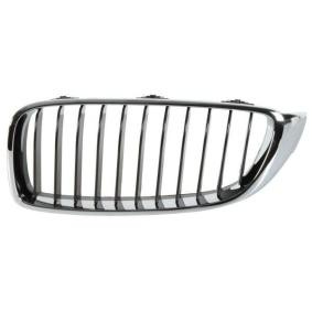 Kühlergrill 6502-07-0070991P