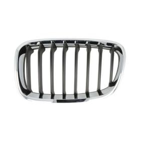 Kühlergrill 6502-07-0086995P
