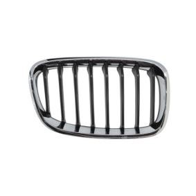 Kühlergrill 6502-07-0086996P