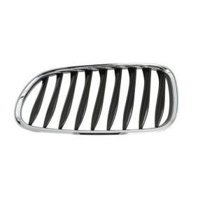 Kühlergrill 6502-07-0089991P