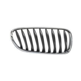 Kühlergrill 6502-07-0089992P