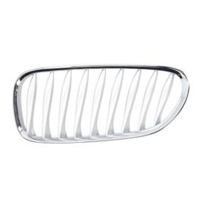 Kühlergrill 6502-07-0089993P