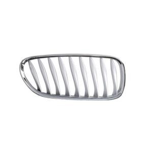 Kühlergrill 6502-07-0089994P