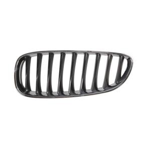 Kühlergrill 6502-07-0089995P