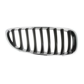 Kühlergrill 6502-07-0089996P
