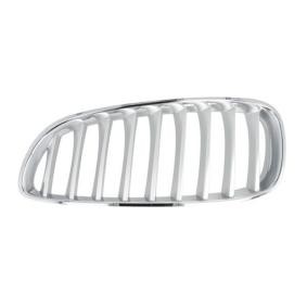 Kühlergrill 6502-07-0089997P