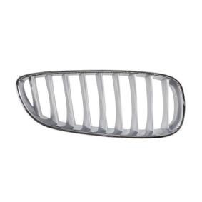 Kühlergrill 6502-07-0089998P