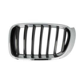 Kühlergrill 6502-07-00939933P