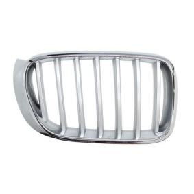 Kühlergrill 6502-07-00939966P
