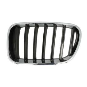 Kühlergrill 6502-07-00939970P