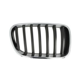 Kühlergrill 6502-07-00939980P