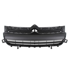 Kühlergrill 6502-07-0554990Q