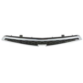 Kühlergrill 6502-07-1120990P