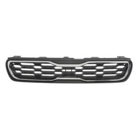 Kühlergrill 6502-07-3284991P